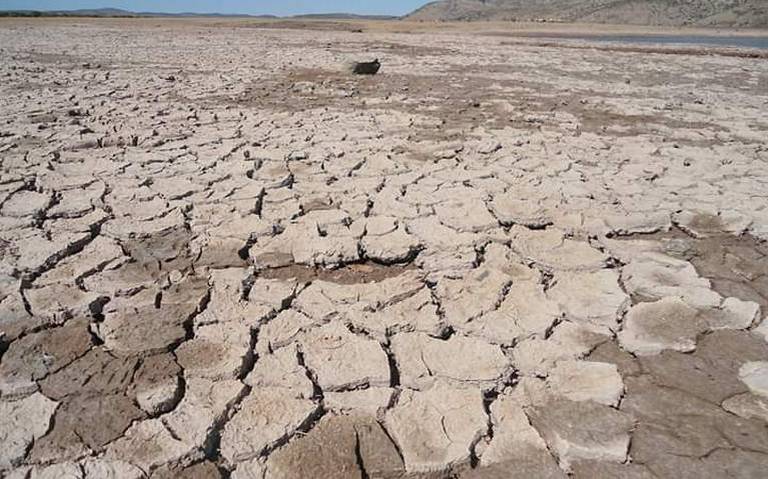 La sequía afectó más de 65 mil hectáreas - Noticias Locales, Policiacas, sobre México y el Mundo | El Sol de Hidalgo | Hidalgo