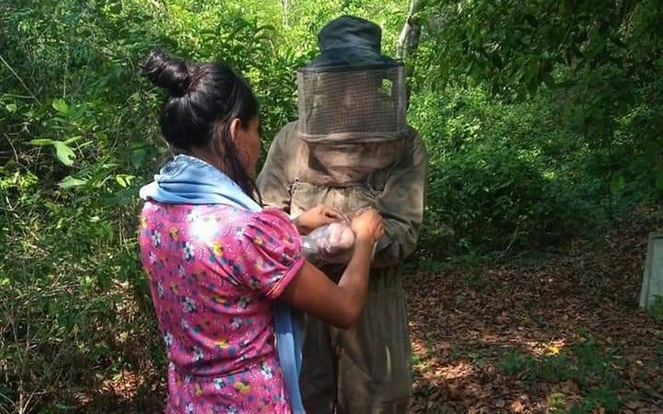 Capacitan a apicultores de Yahualica - El Sol de Hidalgo | Noticias  Locales, Policiacas, sobre México, Hidalgo y el Mundo